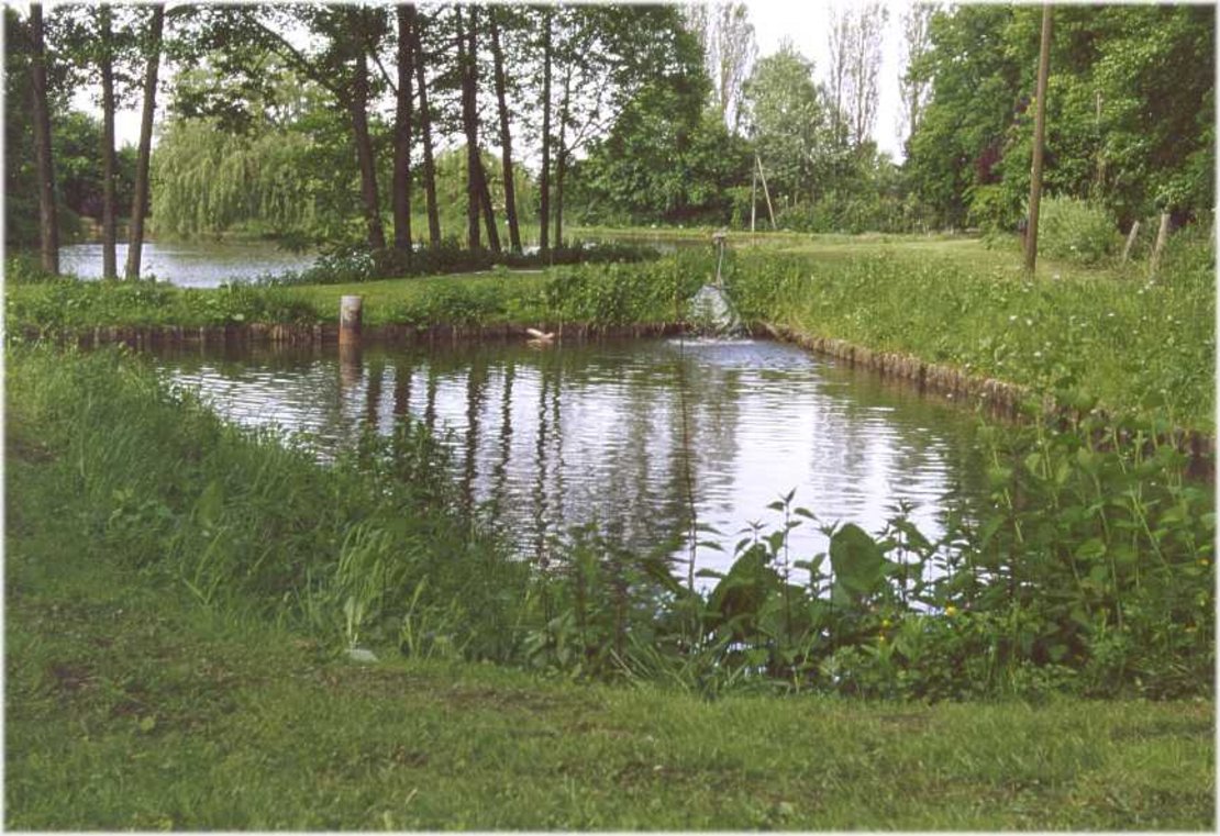 Teichanlage Havixbeck